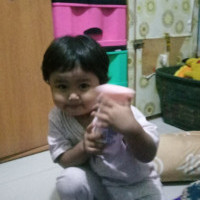 Agen Portal Pulsa Suprianto: Portal Pulsa Pokoke Mantap Cepat Terpercaya