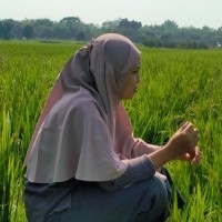 Siti Nur Kholishah Dapat Saldo Pulsa Gratis