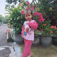 Rudy Cell Dapat Saldo Pulsa Gratis